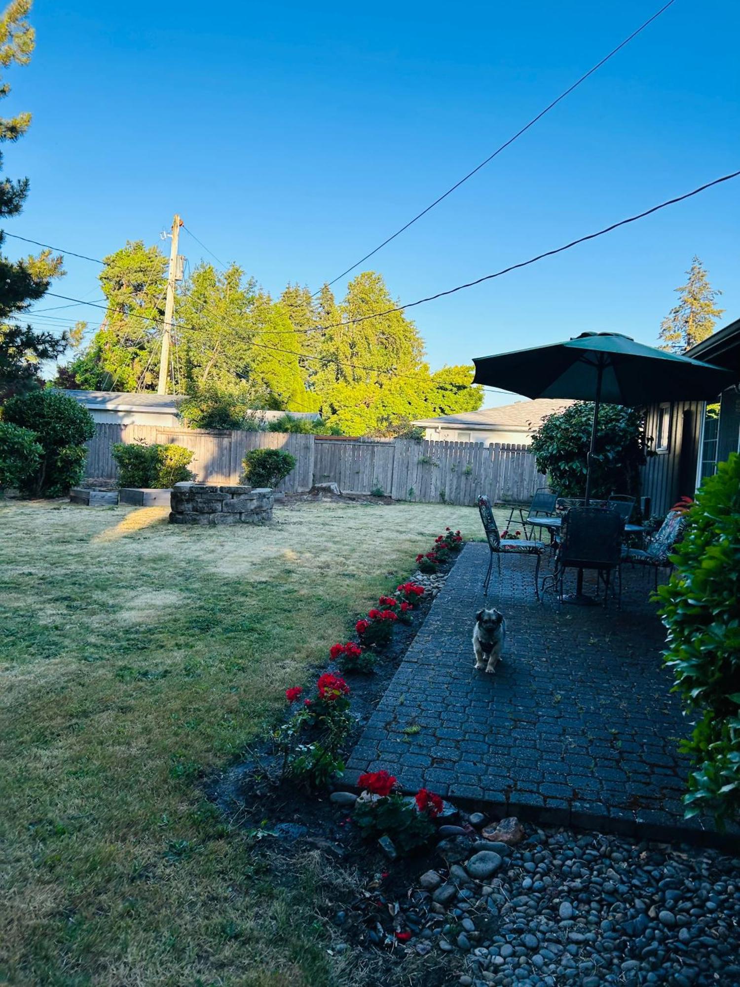 Emerald City 3 Bedroom 1 Bath Home Eugene Exterior photo